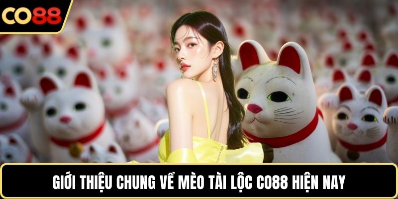 Giới thiệu chung về Mèo Tài Lộc CO88 hiện nay