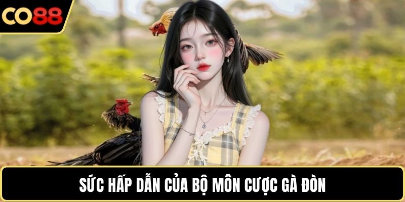 Sức hấp dẫn của bộ môn cược gà đòn